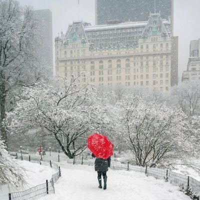 Lucia🇧🇷🇺🇸