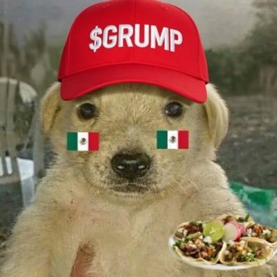 #Jotchua Embassy🐈🐈‍⬛🏰🏯