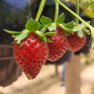 Monica Antico 🧙🏻