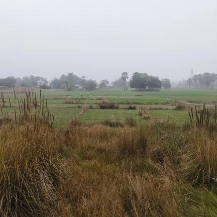 Benyatollah khameyahu