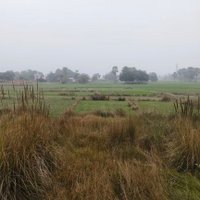 Benyatollah khameyahu