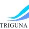 Triguna012015