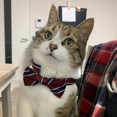 ルトルトさん✌️🪩