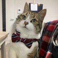 ルトルトさん✌️🪩