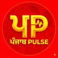 Punjab Pulse