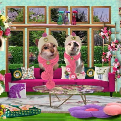 Willow 🐈 & Mum Margie 💖 be kind