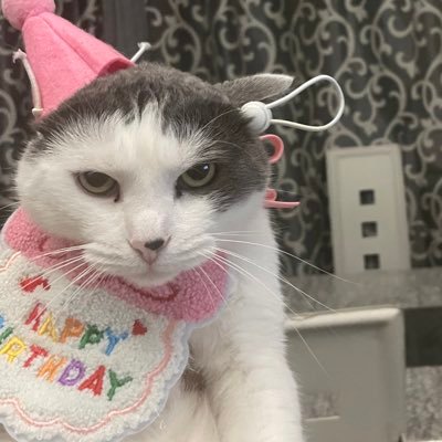 tung tung sahur fan accout