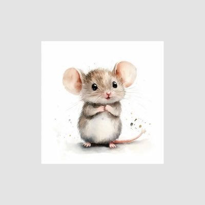 mouse🐭(5.4/10lbs)