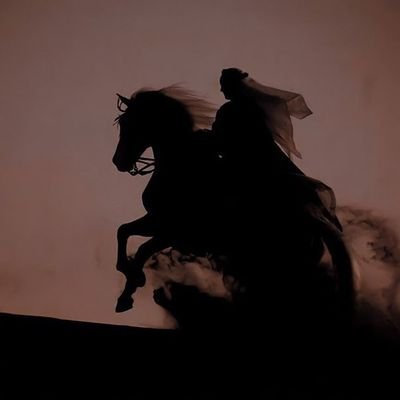 حیا سلیمان✨