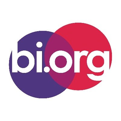 Bisexual.org en Español