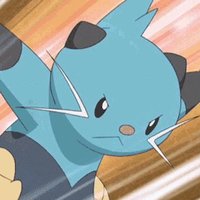 Echoes of the Scalchop