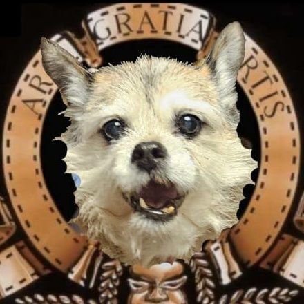 Pixie Tooth 🌈💔