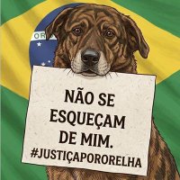 Angie Martinez 🐲🐲🐲