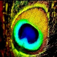 THIRD SON OF LORD SHIVA&MATA PARVATI(NOT YET 57%)