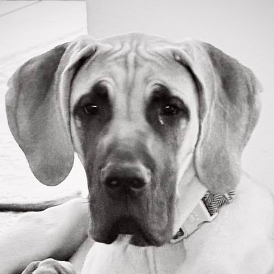 NEVER AGAIN 🟦🍊