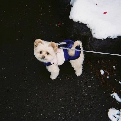 マク「プロスピ石垢」