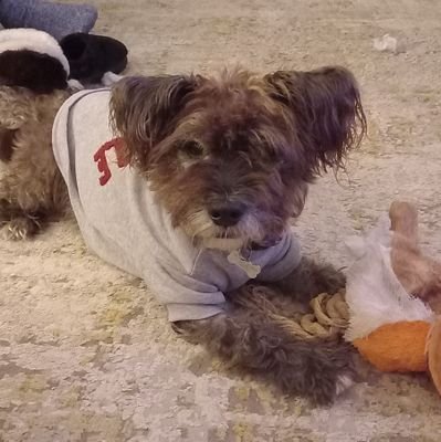 Rory🐻 Missing all pals OTRB 🌈😢