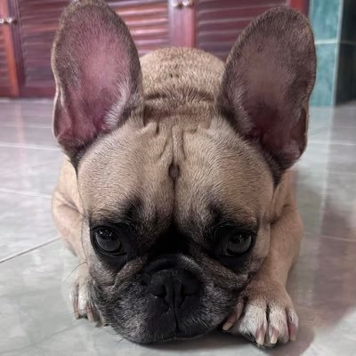 SttaeTun“พี่หนามทีมน้องลูกนีน”