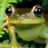 𝕬𝖗𝖔𝖆 ⋆˚꩜｡𐔌՞