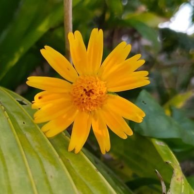 ParVeen Shaikh 💝💚