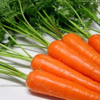 にんじんさん。