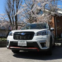 新開之麒麟児(しんかい)