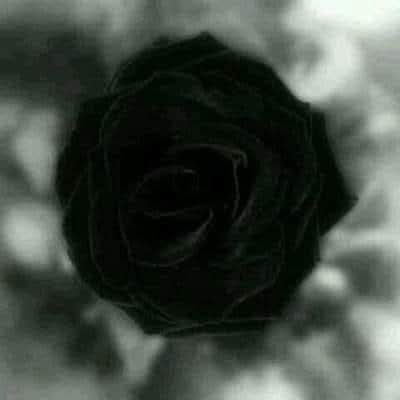 Abdalraof Alzdam. عبدالرؤوف الزدام