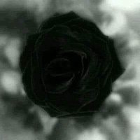 Abdalraof Alzdam. عبدالرؤوف الزدام