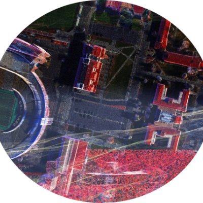 I Do Not Have the Courage to Stay Silent