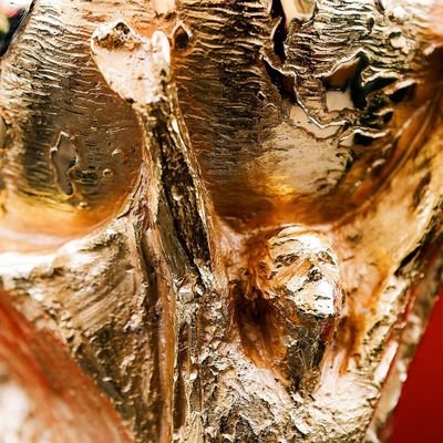 AbueloToluco1991 🟦🐦🐦🐦