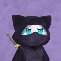 Little Prince 👑🔥