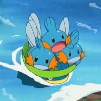 central mudkip br oficial