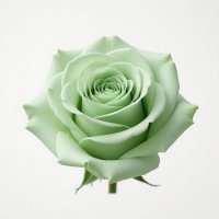 𝖞𝖆𝖈𝖍𝖙⋆𝖕𝖆𝖗𝖙𝖞⋆𝖌𝖑𝖔𝖘𝖘