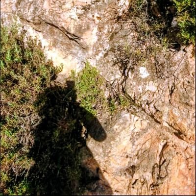 Í𝐍ᔕยⓡŘⒺᶜTo_ˣ 🏴🛡️⚔️2°