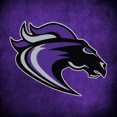 Ridge View High School Women's Basketball