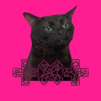 7TH YEAR🪾TERRY🐈‍⬛