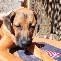 @ALBERTOJOSEGAR4 🚀