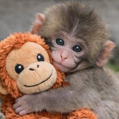 Fairies⋆LO🌻🌈☀️