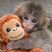 Fairies⋆LO🌻🌈☀️