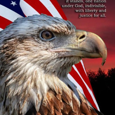 Wendy aka Deplorable Freedomfighter