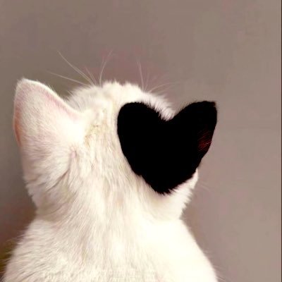 APRIL🦊🍅🤟🏻BTG