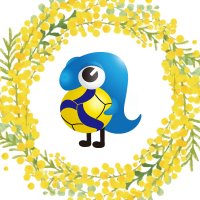 アランマーレ山形バレーボールチーム公式