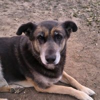 Marito. 💛💛💛 Noño Republicano #MileiEsUnaEstafa