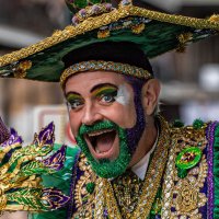 Professor Carl Nivale