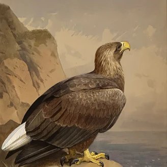 AgentSaffron HORMUZ STRAIT