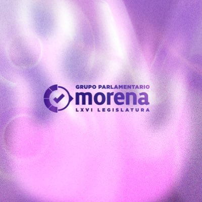 Tus Diputadas y Diputados Morena
