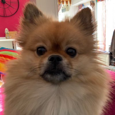 GENERAL BAZZ - GENERAL,LORD BIDDY(ANGEL)