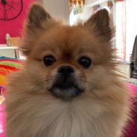 GENERAL BAZZ - GENERAL,LORD BIDDY(ANGEL)