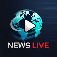 NEWSLIVE🎬