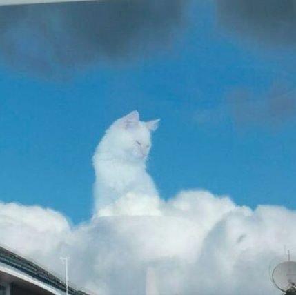 Syimy / シーミー